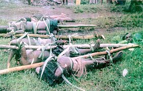Civils torturs par des soldats rwandais